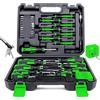 Amartisan Set di cacciaviti magnetici con custodia, 43 pezzi, include cacciavite a taglio, Phillips, esagonale, Pozidriv, Torx e set di cacciaviti di precisione, strumenti per smagnetizzatore (verde)