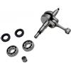 TXuKm Kit albero motore for motosega Adatto per S MS290 MS310 MS390(A 6-piece set)