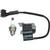DORFEY Bobina di accensione AH230 AH231 AHS231 LE230 LE231 P230 P231 PB230 C260 80280 compatibile