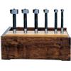 Amana Tool FO-600 Forstner - Set di 6 punte per fresa in acciaio al carbonio, con gambo da 3/8, modello Forstner