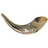Shofarot Israel Shofar Kosher Twisted Rams Horn lucidato naturale Chofar Showfar Jewish Mouthpiece Yom kippur fatto a mano