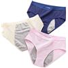 RAAMKA Intimo per l'incontinenza per Adulto, Slip Donna Assorbenti per Incontinenza Lavabili Riutilizzabili Mutande, Intimo per Incontinenza, 3 Pezzi