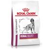 ROYAL CANIN Royal Royal Vet Canine RENAL Select - 10KG