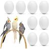 WOLEDOE 8 uova finte per uccelli, per calopsitte, guance verdi, piccioncini, colombe, lorichetti, parrocchetti Bourke, pappagalli quaccheri