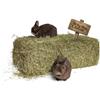 karton-billiger agrar-Store, fieno, 10 kg, balle di fieno, 1. Taglio di fieno di coniglio, fieno di cavia, paglia fresca e non trattata, raccolta 2025