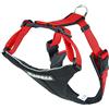 Neewa 8033087539837 - Imbracatura da corsa, misura L, colore: Rosso