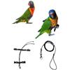 BLUSUPERSHOP PETTORINA ELASTICA VIOLA PER PAPPAGALLI LORI ARCOBALENO,nastro 10mm, 2 attacchi,PLASTICA O METALLO SGANCIABILI REGOLABILI con GUINZAGLIO 1M x tutte le razze + amuleto