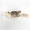 PERCORSIPERGATTI.IT Ponte Tibetano per Gatti in Legno d'Abete PEFC fatto a mano, Ponte da arrampicata per Gatto a 5 listelli lungo 90 cm, Resistente fino a 20Kg, Relax e Gioco per Gatti Avventurosi - Percorsopergatti