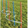 Wuzzmann Agility - Slalom - Set da Allenamento con Archi a slaloma, con aste a Slalom, Colore: Rosso/Blu…