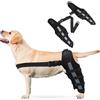 PETCUTE Ginocchiera per Cani con Strisce Riflettenti - Regolabili Tutore Cane Zampe Posteriori per Cani,per Lesioni e Distorsioni, Supporto Riabilitativo e Lussazione Rotula-L(Nero)