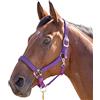 Shires, capezza della linea Topaz, in nylon (387), Purple, Cob