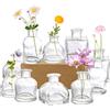 Hedume Set di 10 piccoli vasi da fiori in vetro trasparente, vasi decorativi rustici per fiori, mini vasi floreali da tavolo, per la decorazione della casa, centrotavola, eventi, look vintage