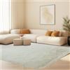 STGAO Area Rugs 170 x 250 cm Antiscivolo Lavabile Tappeto Peloso Salotto Facile da Mantenere per Grandi Dimensioni Salotto Moderno Cameretta Bimba, Bianco