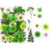 Ulalaza 30pz Fiori secchi pressati Foglie Candele di colore fai-da-te naturali reali Ciondoli di gioielli in resina decorativa artistico Cassa del telefono per unghie Trucco facciale