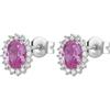 Brosway Orecchini Donna, Orecchini a Lobo in Argento e Vibrant Pink | Collezione FANCY - FVP14