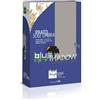 Tempoverde Blue Shadow Kg 1 Semi prato Tempoverde tappeto erboso giardino