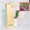 FINCA CASAREJO Lentisco | Arbusto mediterraneo | Albero con frutti commestibili | Giovane germoglio di 30 cm ricevuto in scatola di legno riutilizzabile | 1 unità