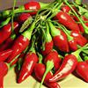 Mondonatura Busta Seme Peperoncino Calabrese Professional Seeds, Mondonatura