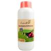 Newpharm NEW PHARM BICARBONATO di POTASSIO 1 kg per correggere Il Suolo del Terreno Acido