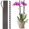 NLDGR 10 pezzi di pali di supporto per piante con 15 clip per piante, pali per fiori a stelo singolo da 40,6 cm flessibili per piante da interno, clip e pali per orchidee