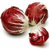 SVI RADICCHIO PALLA ROSA VITAMINA IMBALLATO 100 SEED