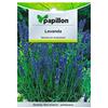 Papillon Semi Di Lavanda Per Orto In Bustina Pianta Aromatica Perenne 0,5 Grammi