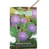 acquaverde Semi di Mimosa Pudica Sensitive - Pianta delicata con fiori Rosa.