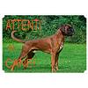 Crazy Family Shop Cartello Targa ATTENTI AL CANE da Cancello BOXER cm 30 x 21,5