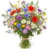 Generico Miscuglio Semi Fiori di Prato Fiorito | Mix Fiori Selvatici Multicolore | Fioritura Abbondante | Attira Api e Farfalle | Ideale per Giardino e Balcone | Facile da Coltivare