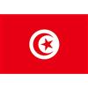 Generico Bandiera Della Tunisia Decorativa Da Giardino Striscioni Nazionali In Poliestere Per Eventi Sportivi 150x90cm Rosso E Bianco
