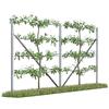 Kiwiri RANKI ™ - Supporto per piante rampicanti - Spalliera di standard da piantagione per vigne, kiwi, kiwifrutti, rose, clematidi, frutti da spalliera (2 campi (4 metri))