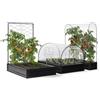 IDMarket - Kit Completo di 3 vasche modulari in Metallo per orto e Serra di pomodori + Traliccio + Copertura
