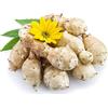 Generic topinambur semi selvatici da cucina semi perenni resistenti giardino primavera 50pcs