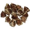 Generico Semi di Moringa Oleifera, 1000 Pezzi, Organici