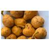 Seeds & Plants Shop by Ipsa Pezzi - 2x Annona Senegalensis Commestibile Gusto Ananas Piante - Seme ID1832 - Seeds & Plants Shop by Ipsa