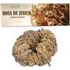 inkanat Rosa di Gerico - Pianta della Resurrezione | 100% Naturale | Purificazione e Protezione