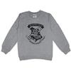 Harry Potter Hogwarts Felpa a maniche lunghe in cotone french terry Grigio 13-14 Anni