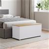 Vida Designs Arlington Pouf Portaoggetti in Legno con Coperchio, Sedia, Sgabello, Panchina per Finestra, Coperte, Biancheria da Letto, Poggiapiedi, Bianco, H 40 x L 100 x P 40 cm Circa