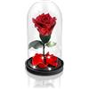 Aluisi Fiori - Rosa La Bella e La Bestia Rossa - Base in Legno Nero con LED - Rosa Stabilizzata Perfetta per San Valentino, Anniversario o dichiarazioni d'Amore.