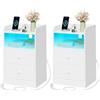 WOLTU Set di 2 Comodino per Camera da Letto, Comodino Bianco 40x35x64 cm | con Prese, Porte USB e Luci a LED, Tavolino con 1 Piano, 1 Scomparto e 2 Cassetti, Tavolino da Divano in Legno