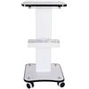 Rogowsen Carrello portatile portatile carrello speciale per parrucchiere, carrello cosmetico multifunzione con grande capacità, carrello bianco con manico e ruote
