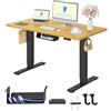 FLEXISPOT Scrivania Regolabile in Altezza a 2 Motori 120x80 cm con Piano Unico, Pannello con Memoria, Portata 100 kg
