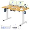 FLEXISPOT Scrivania Regolabile in Altezza 140x80 cm, Standing Desk Elettrica con Pannello Intero, Spessore 25mm, Telaio in Acciaio Massiccio a 2 Stadi, Motore Potente, Gancio Laterale