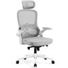DIABLO Sedia da Ufficio Ergonomica Schienale Traspirante Supporto Lombare Regolabile Poggiatesta Braccioli 3D Meccanismo Basculante Portata 110 kg Grigio Chiaro