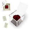 La Rosa dei SogniRosa stabilizzata profumata in Cubo Trasparente - Confezione Regalo Elegante - Durata 5-7 Anni - Made in Italy - 8x8 cm (Rosso)