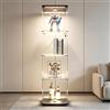 BIYFSDS Vetrina in vetro a 4 livelli per collezione con LED, vetrina moderna con 4 ripiani e 1 porta, armadio da collezione verticale per collezione su piedistallo vetrina da parete in vetro (nero-2B