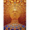 JYWDZSH Stampa su Tela Trippy Alex Grey Abstract Wall Art Canvas Painting Poster E Stampa Immagini Psichedeliche Soggiorno Decorazione Home Decor, Come Mostrato, 70X100Cm Senza Cornice