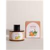 SenseFlow Oli Essenziali 30 ml - 100% Puro Olio Aromaterapia Ricarica per Diffusore SF101/SF101S per Allevia Lo Stress, Relax e Casa - Arancione Capri