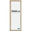 yd. Your Decoration - Cornice 20x60 cm - Oro - Decorativa Parete in Legno con Vetro in acryl - Antiriflesso - 20x60 Cornice - Catania