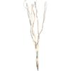 Star Trading 'Star 584 - 32, Vimini Decorativo Willow, 24 LED, luce bianca calda, Natura, legno, marrone, 0.8 x 0.8 x 6.0 cm